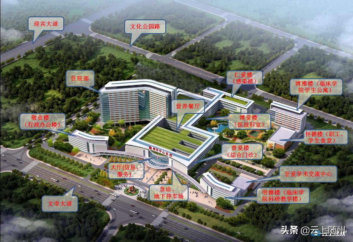 中心医院新院何时启用,实力与颜值同时在线免费观看