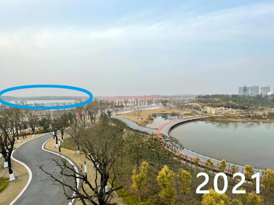 东部新区与天府新区,东部新区和天府新区