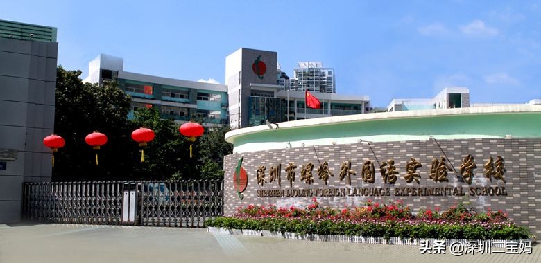 深圳罗湖区九大教育集团,深圳罗湖有哪些好的教育集团