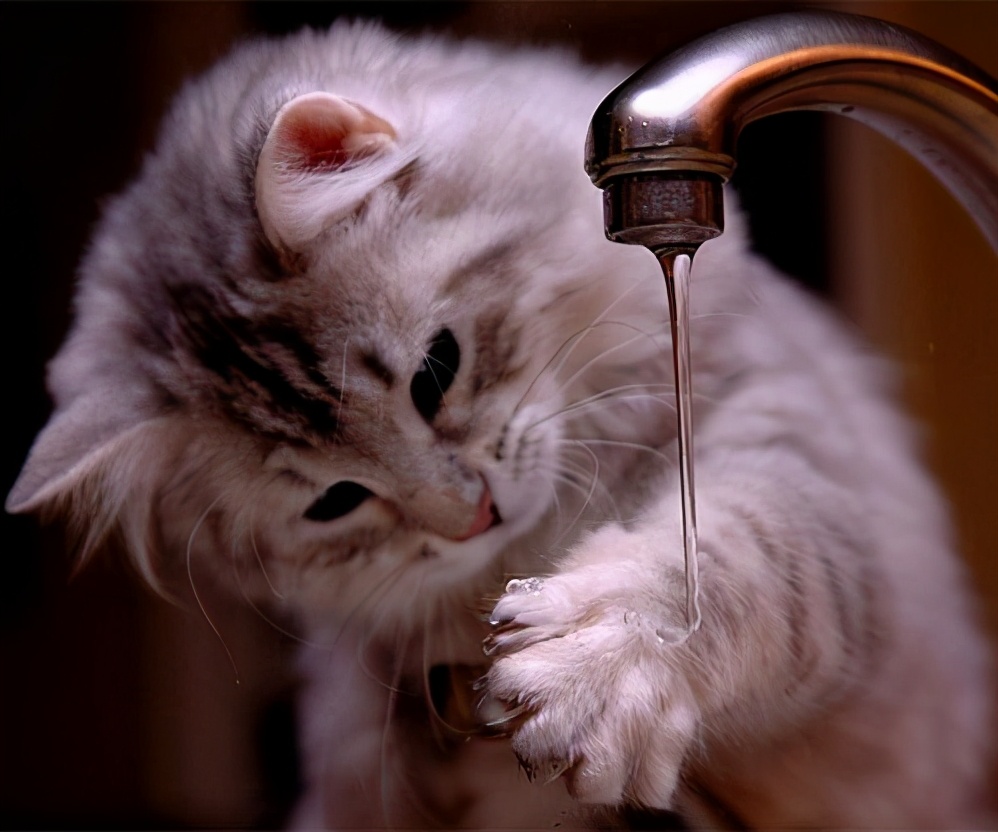 飞机打手机,飞机应该对着谁打