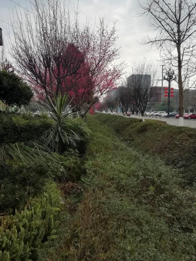 惊险刺激的“跑钓”，让我乐在其中，也总结出了五个要点