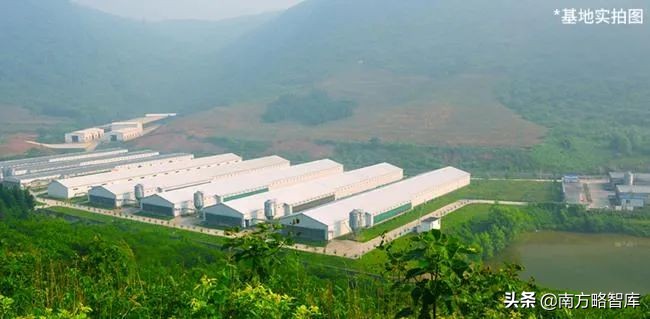 双十一品牌销售冠军,双11单品销量冠军