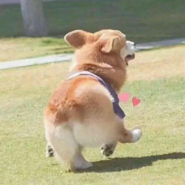 商家节日营销,商家节日促销商品真的便宜吗