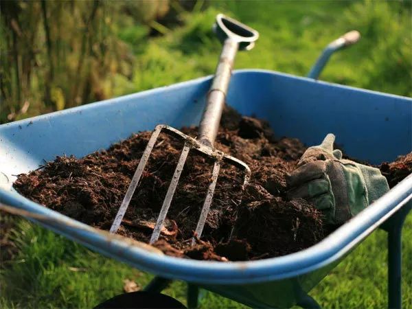 乡村庭院花园,乡村庭院花园设计实景图