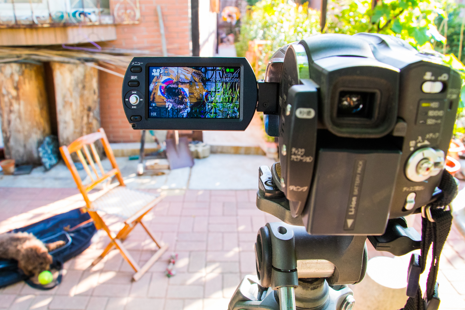 现代复合弓拿什么拉箭,话说现代