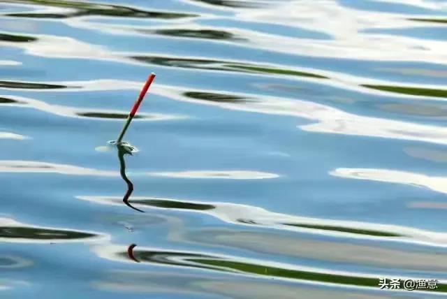 原来大鱼进窝会有这些现象，老钓手一说，让我茅塞顿开