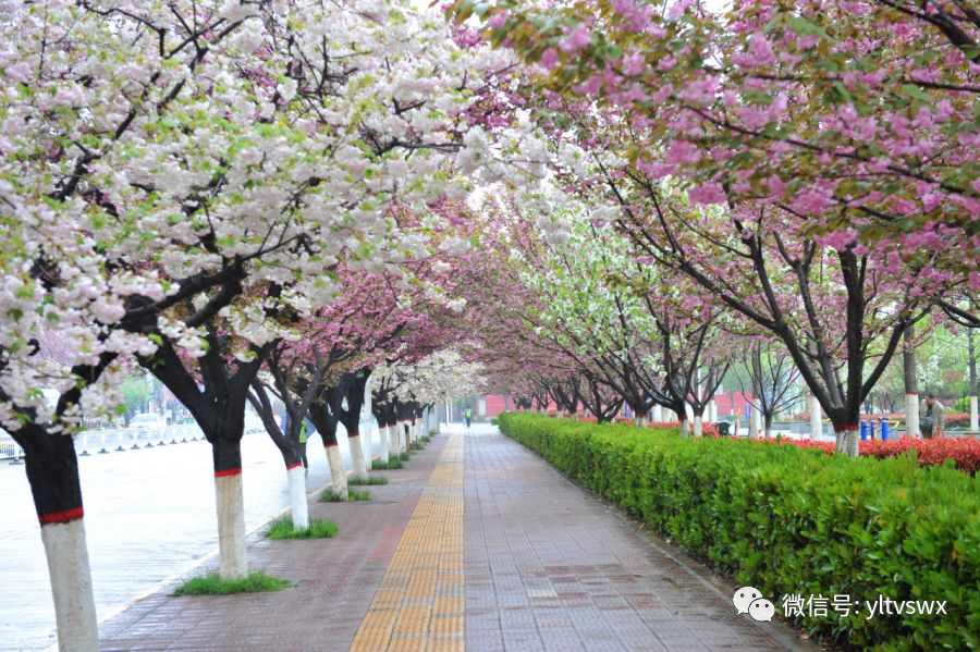 杨凌现状,杨凌最新照片