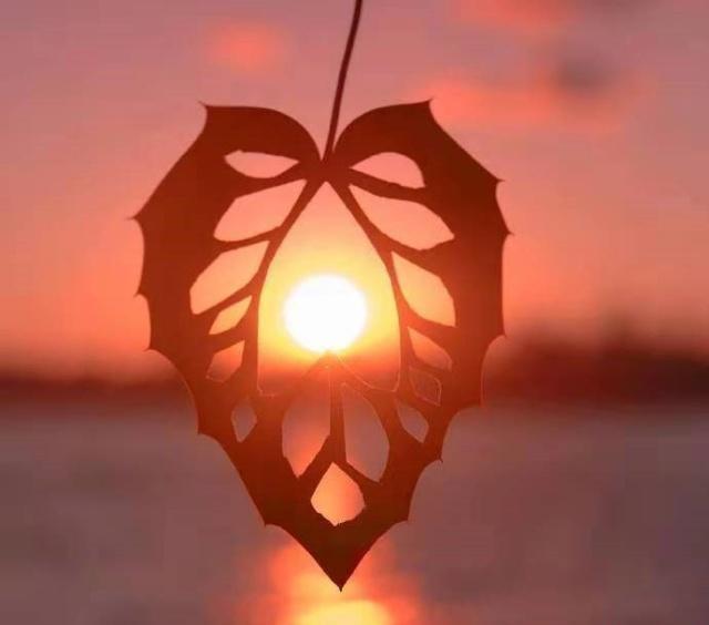 最新简单一句晚安心语,暖心晚安心语简单