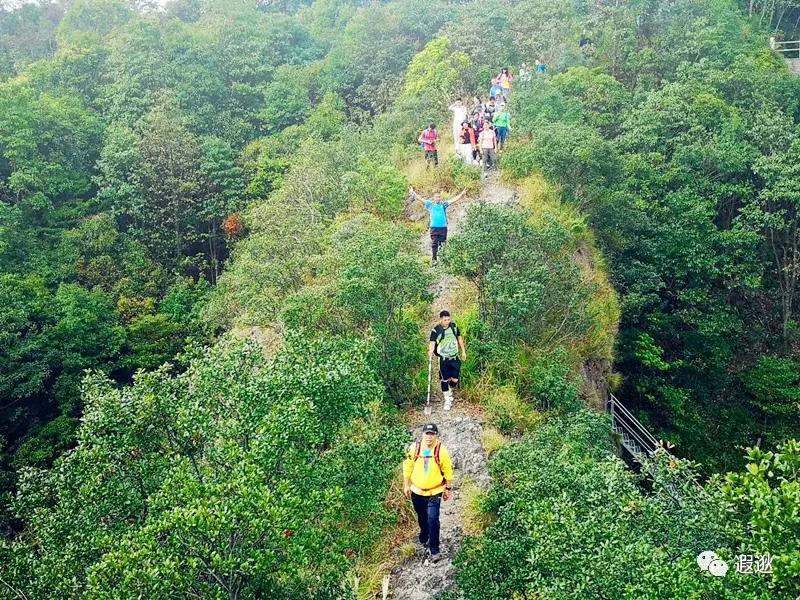 乐清仙溪有哪里好玩的 (乐清仙溪镇景点)