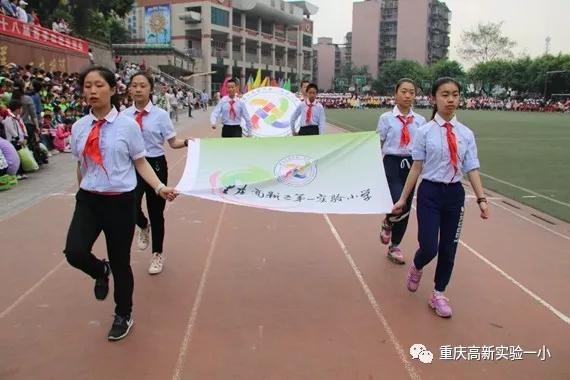 重庆五朵金花小学分别在哪些区,重庆小学5朵金花
