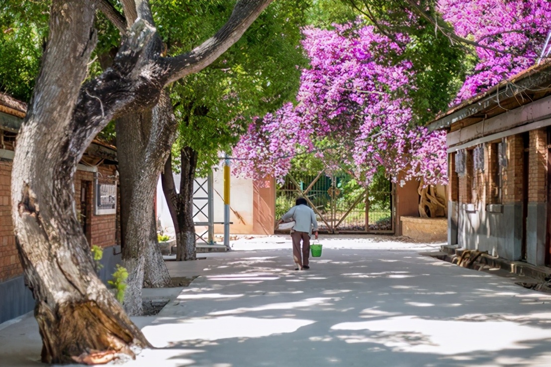 哈弗m6plus2021款手动豪华版,23款哈弗m6plus沉浸式体验