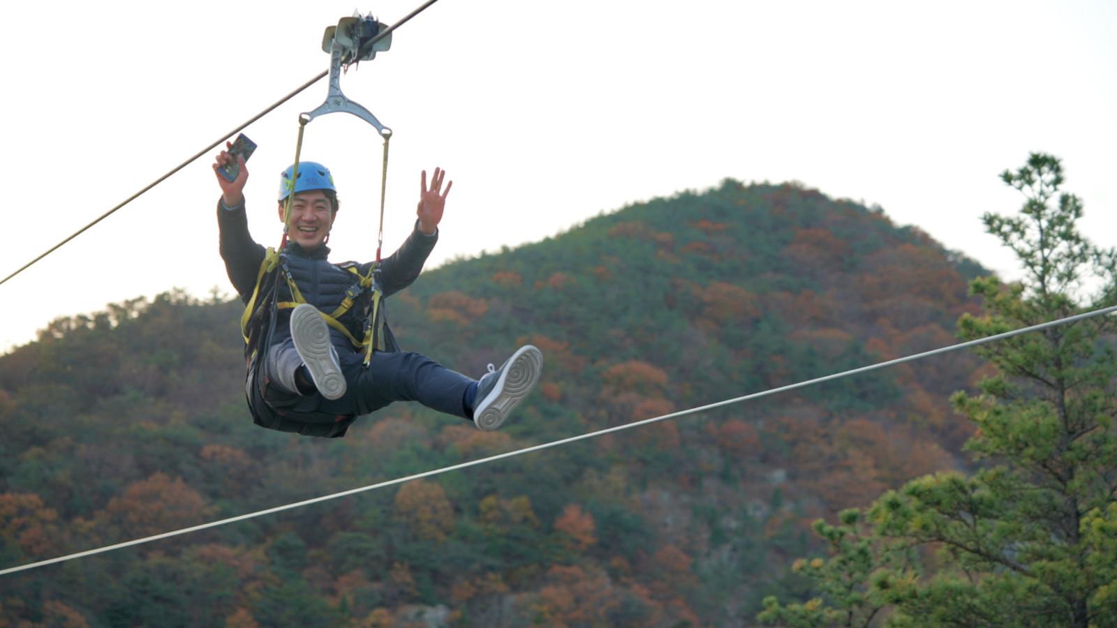 哇,人参随便挖!韩国还能这么玩