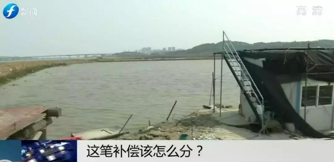 闹心|眼看快收成了，却遇上了麻烦事！这笔清退补偿究竟该怎么分？