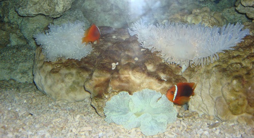 西安带孩子们最值得去的海洋公园,遛娃海洋馆打卡视频