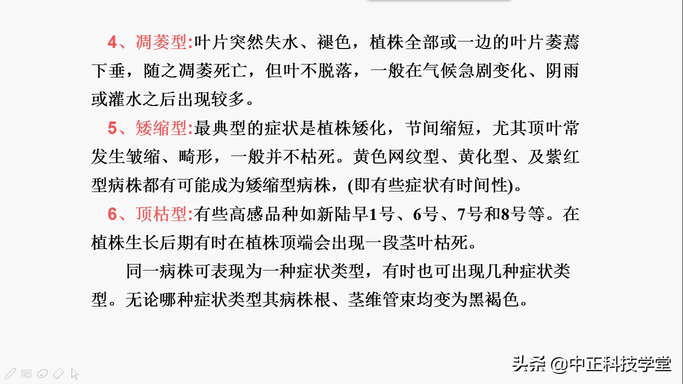治疗棉花黄萎病哪种药最好,棉花枯黄萎病最新最详细防治方法