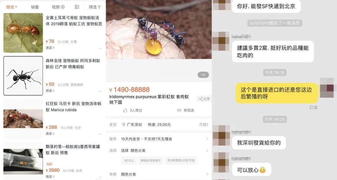 人体细胞、死人衣物……这些*私品走**背后，到底藏着什么“妖术”？