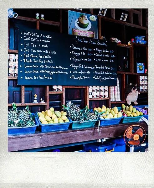 恋恋丽贝岛,人狗情未了|KohLipe