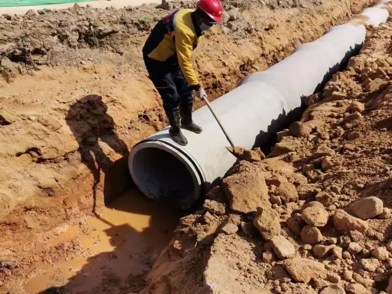 秦皇岛即将通车的路,秦皇岛新路什么时候通车