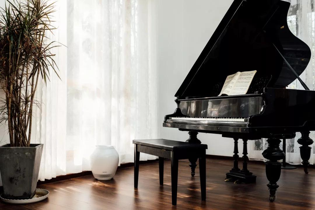 日本殿堂级加湿器:无雾无菌,净化空气,重新定义空气湿度的意义