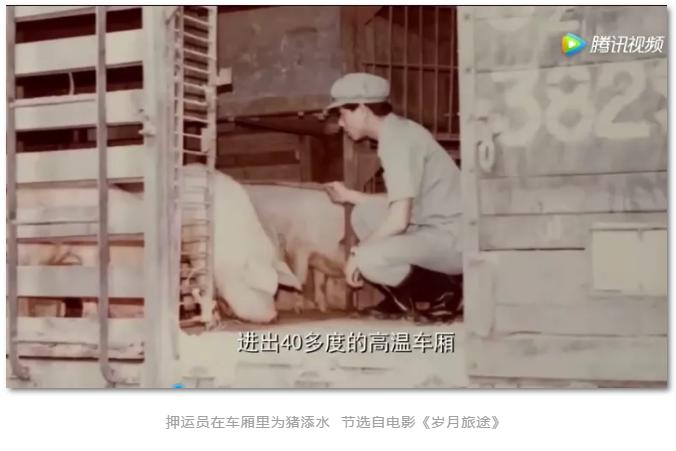 三趟快车|不为人知的“赶车人”（二）