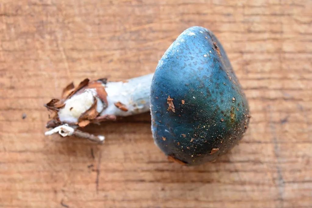 2010-2019网络流行语,20102021网络流行语解释