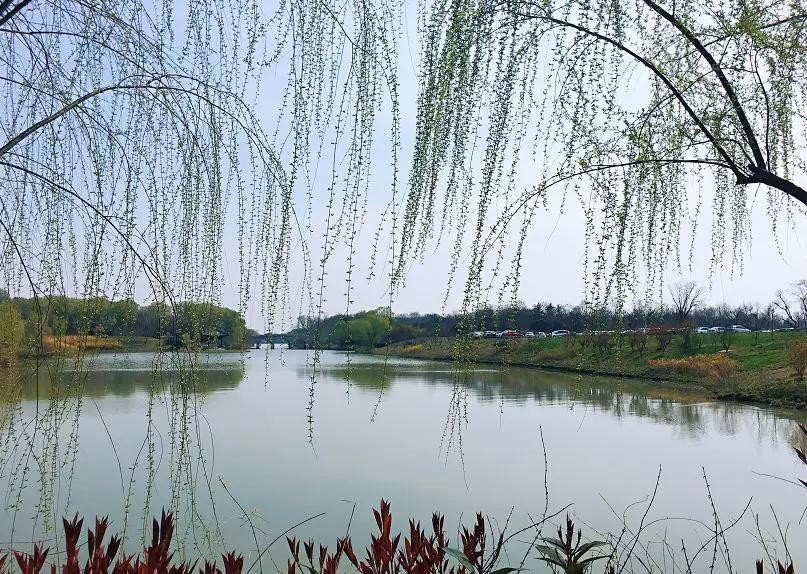 免费半价怎么点,免费半价的噱头