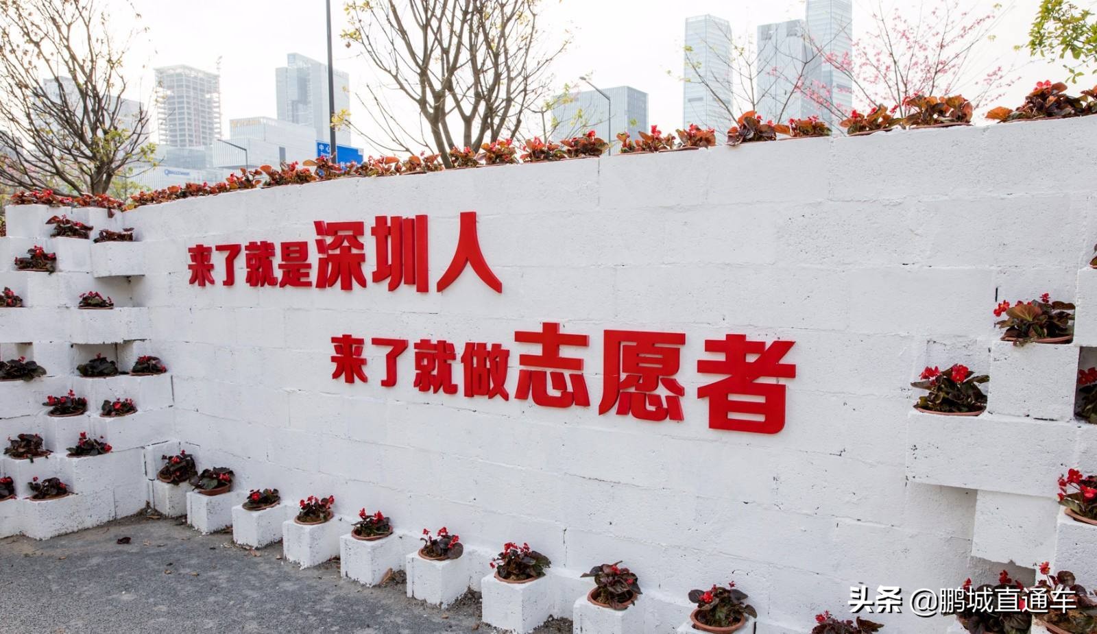 关于大学生在深圳落户的9个问题！入户条件、落户补贴都在这