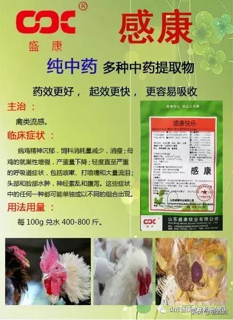 鸭呼吸困难怎么解决,鸭子存放的方法