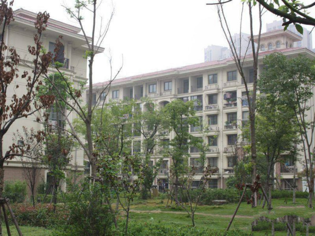 儿媳，我女儿生日，你咋不送礼物妈，姑姐和我不来往了