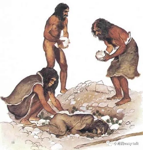 软包皮革面料,面料篇