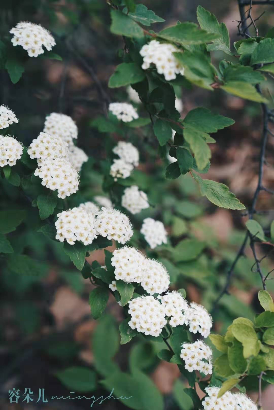 怀柔黄花城水长城有吃饭的地方吗,怀柔水长城周边美食推荐