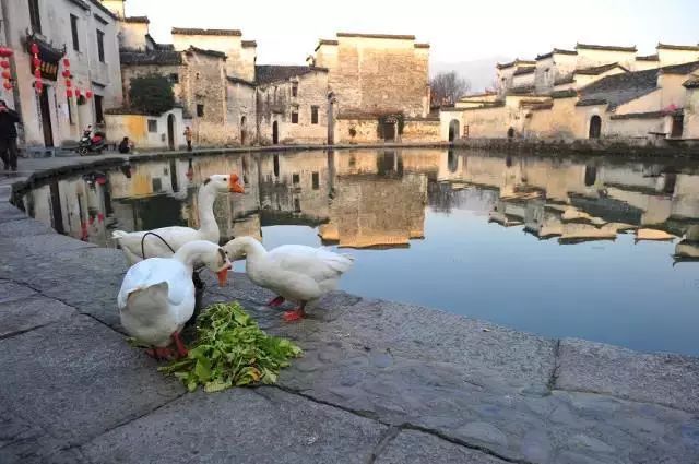 中国十大古村镇排名,中国最美的50个古村镇美到极致