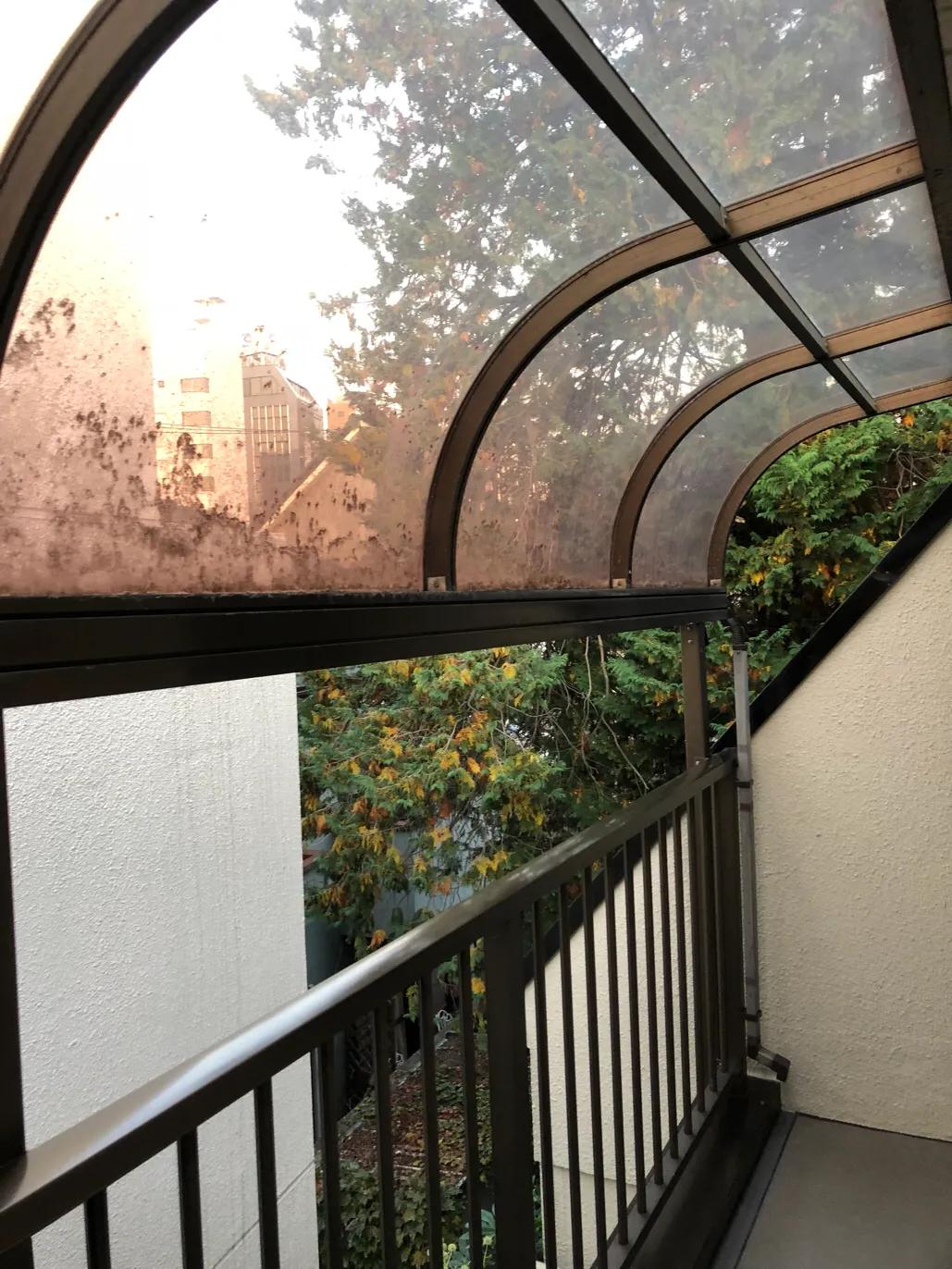 疫情下的东京生活记录,疫情下的东京