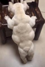 点进本文前，请控制好您的膀胱！（不然容易笑尿）