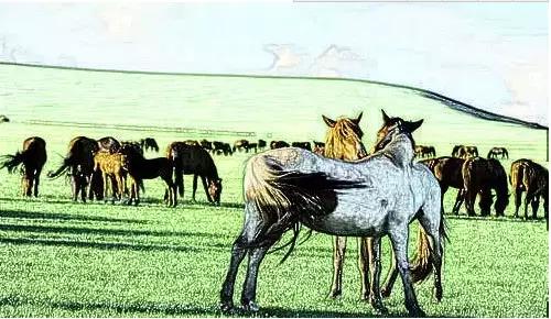 听内蒙方言,听听蒙古方言