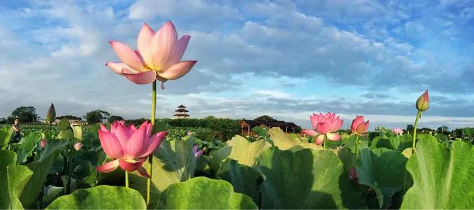 羡慕别人的皮肤好吗,羡慕白皮肤