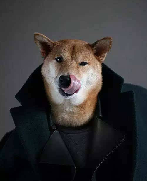 当她皱着鼻子拒绝你的时候 你才发现居然是香水惹的祸