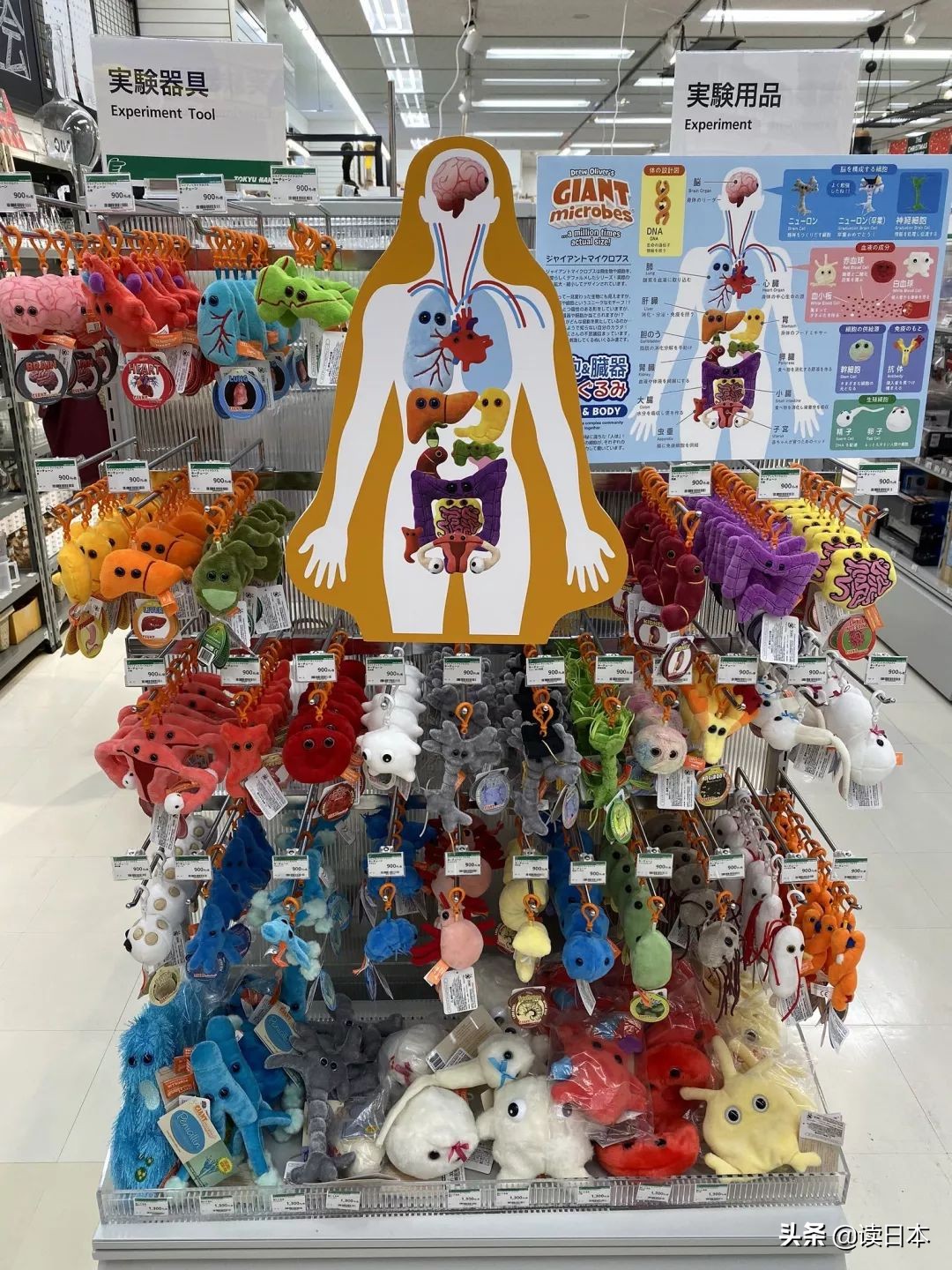 “*体器人官**”挂件或成为日本最新潮流?网友:我的钱包又要哭了