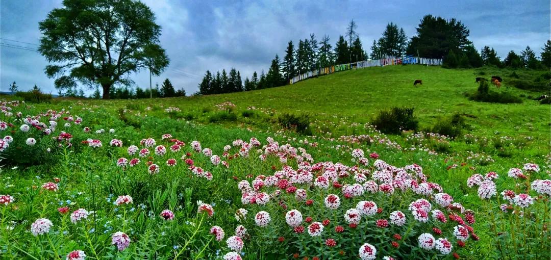 夏日叠词有哪些,夏日迭部
