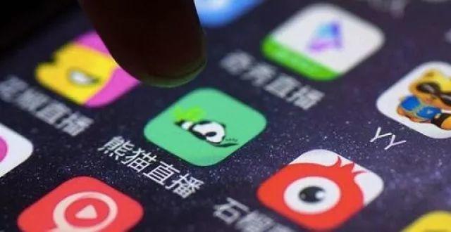 王思聪站台的明星项目也要凉凉传熊猫直播破产清算