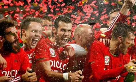 fedex赞助国家羽毛球,fedex欧洲杯赞助商