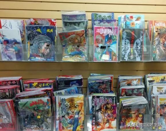 多伦多图书馆清仓特卖啦！1万册图书每本$0.5起（华人淘书指南）