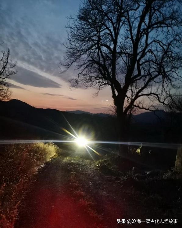 古代志怪故事大全,古代志怪故事1295