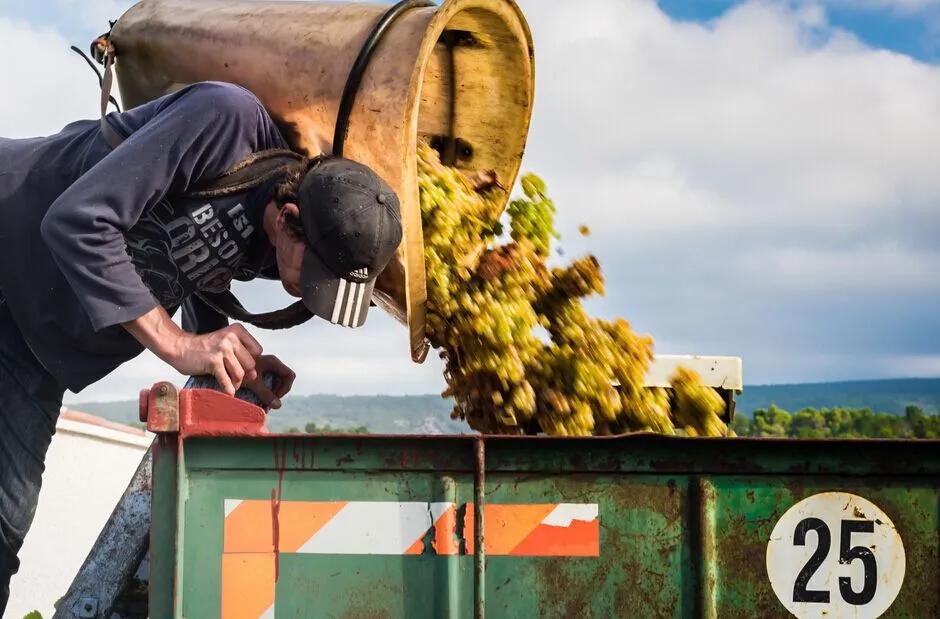 最全葡萄酒大全赶紧收藏,史上最全的葡萄酒知识大全