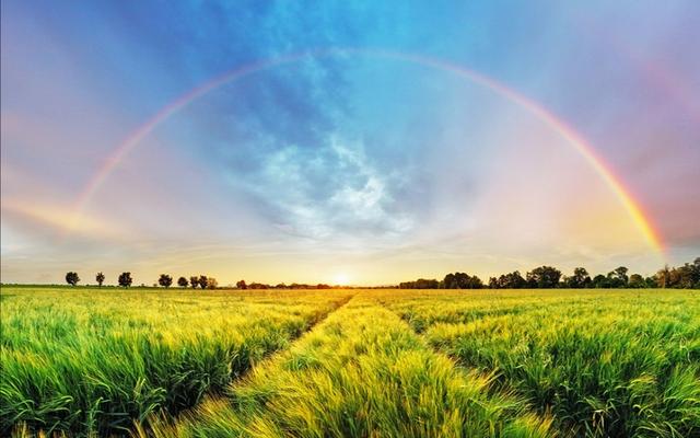 在一家离职率高的公司,做的不开心要跳槽吗?