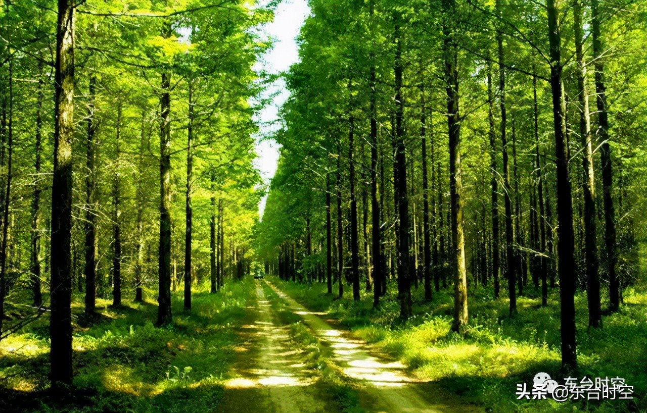 宜居城市东台,东台宜居