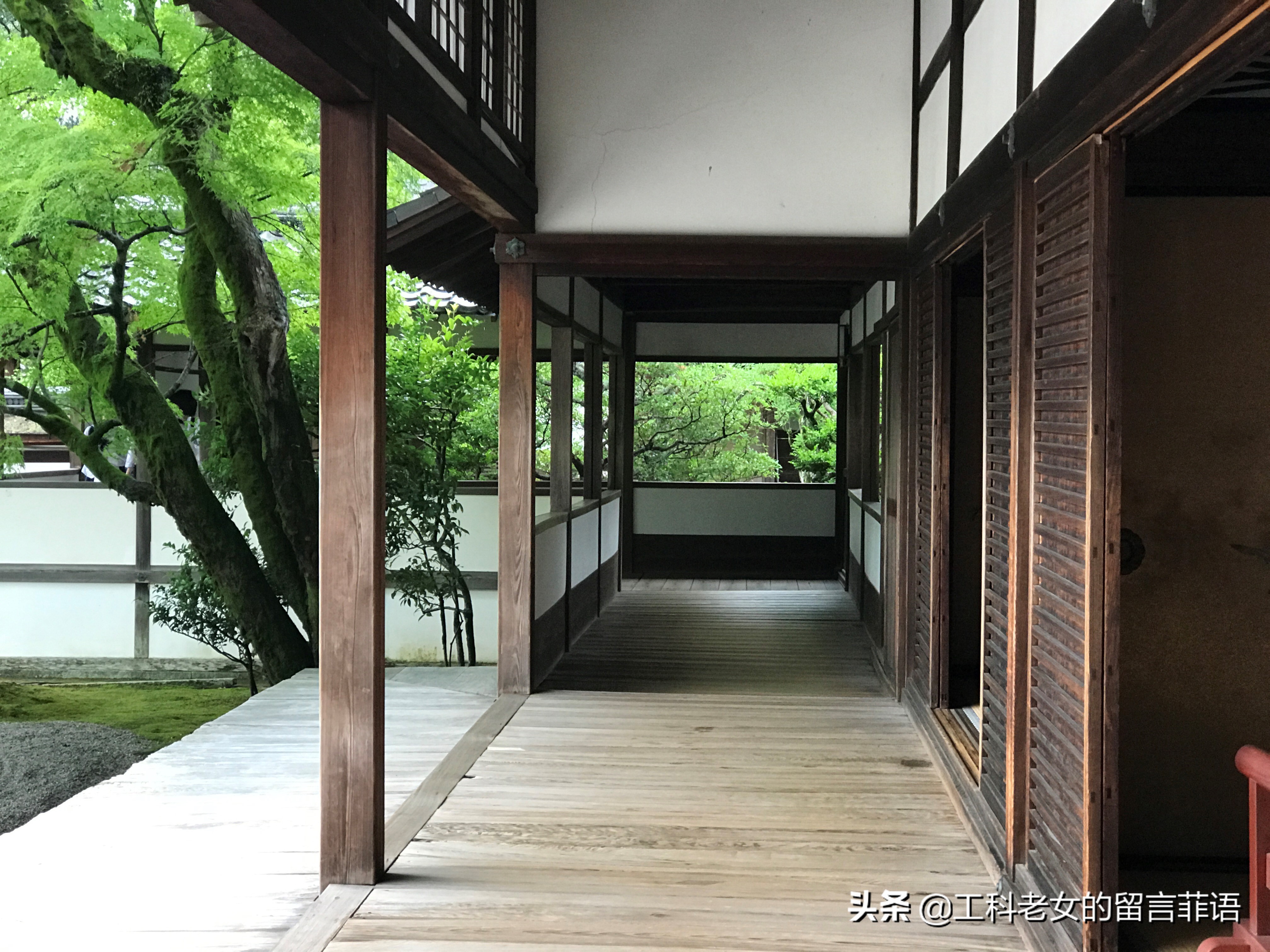 夏天去京都注意哪些事项,盛夏去哪玩