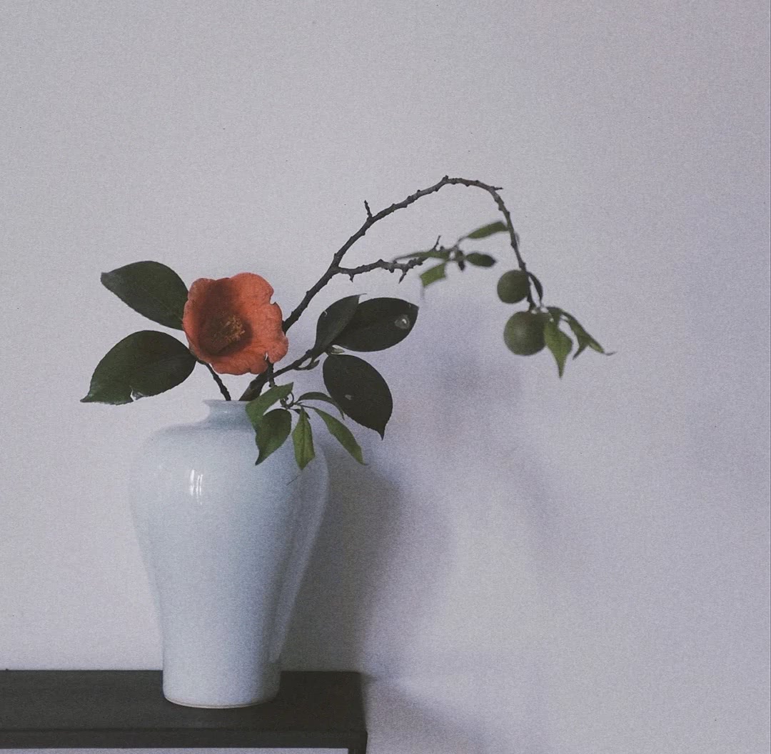 插花学习培训,如何学习插花花艺培训课程