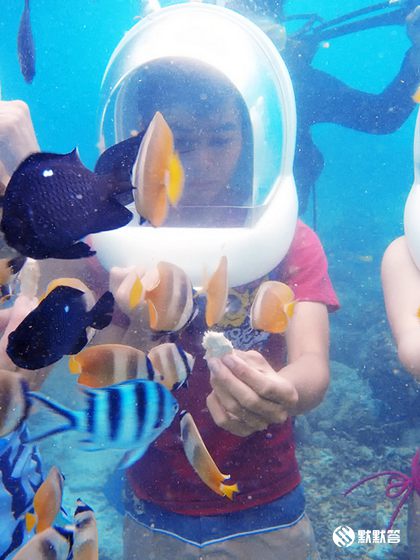 长滩岛海底世界,长滩岛海底漫步在哪里