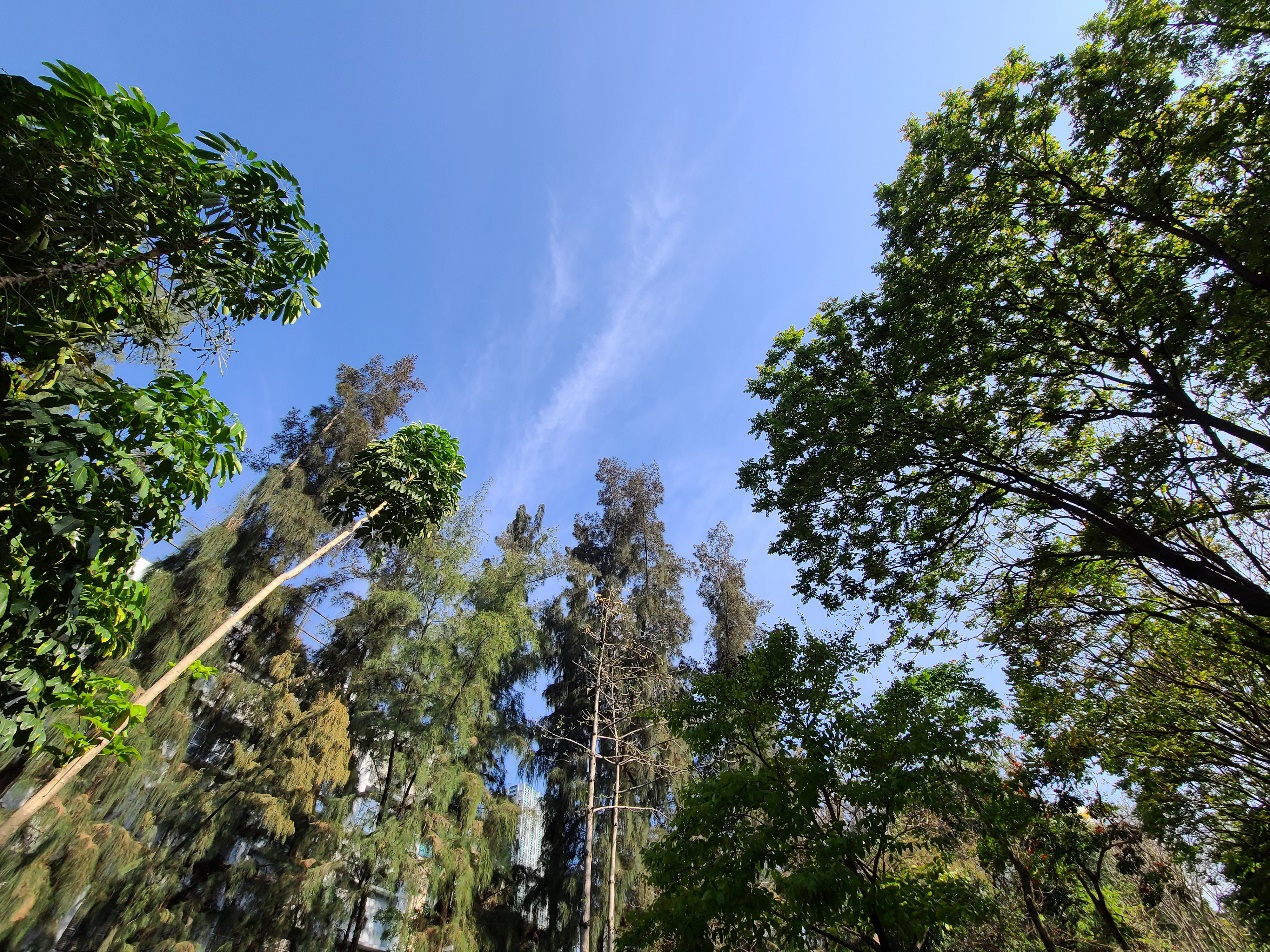 三星s20ultra日常体验,先冷静一下再和我说话